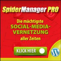 SpidermanagerPro intelligente Vernetzung der Social-Media-Portale